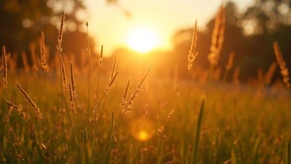 From Conflict Zone to Conservation Triumph: How Manas National Park Rose from the Ashes