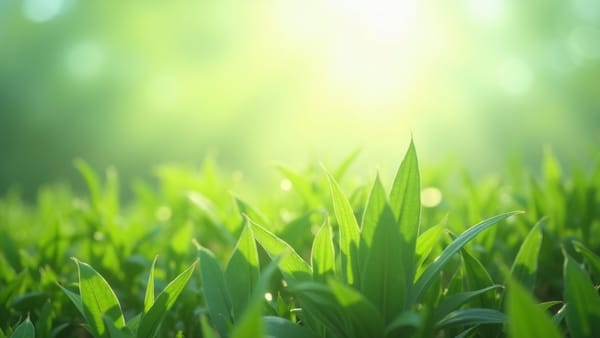 America approaches energy transition tipping point as renewables set to surpass natural gas capacity