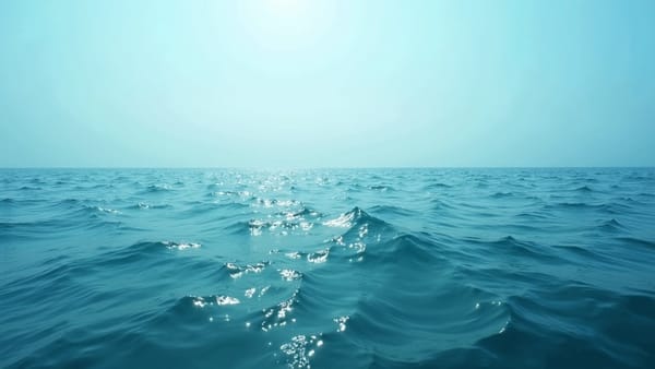 The Ocean Cleanup Removes 50 Million Kilograms of Plastic